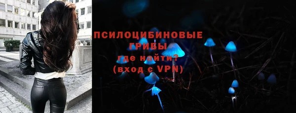 меф Коряжма