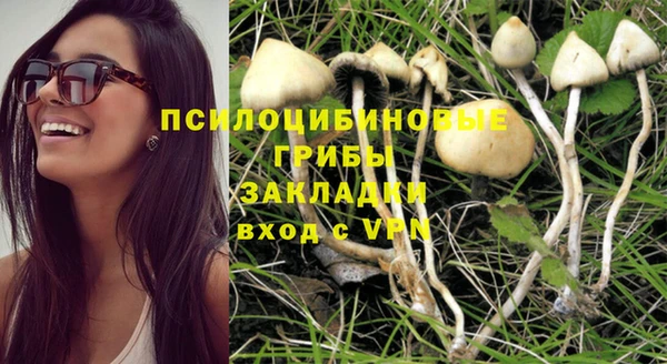 меф Коряжма